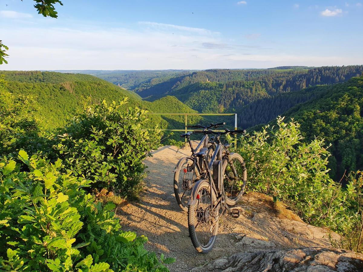 Moselfeeling Co2Frei Apartamento Cochem Exterior foto